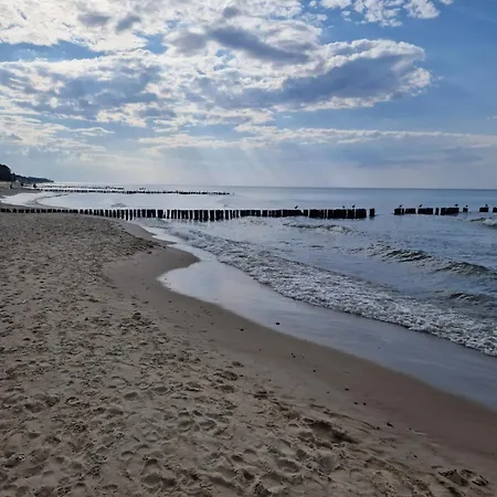 Goscinne Marian Szymanski