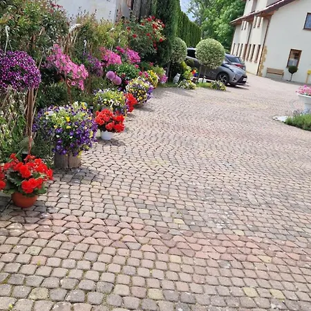 Goscinne Marian Szymanski *