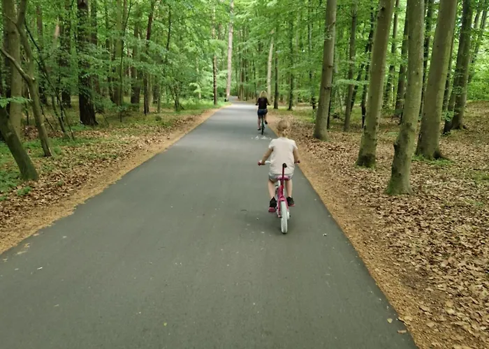 Pensión Goscinne Marian Szymanski Chłopy