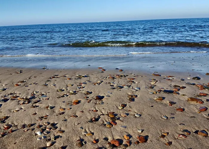 Goscinne Marian Szymanski *